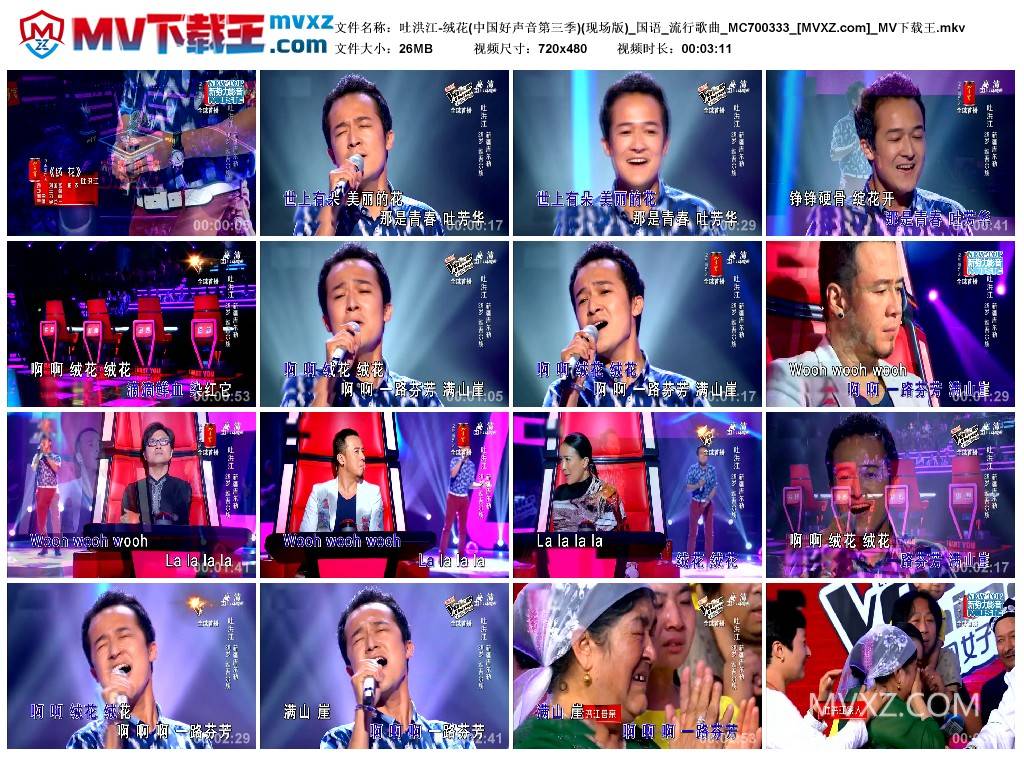 吐洪江-绒花(中国好声音第三季)(现场版)_国语_流行歌曲_MC700333